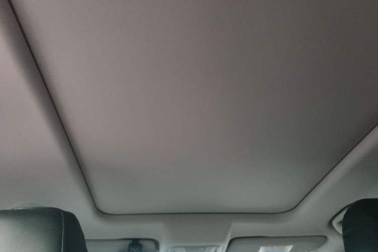 Used Haval DARGO 2021 1.5T DCT Two-Wheel Drive "Mǎquǎn" Edition Headliner