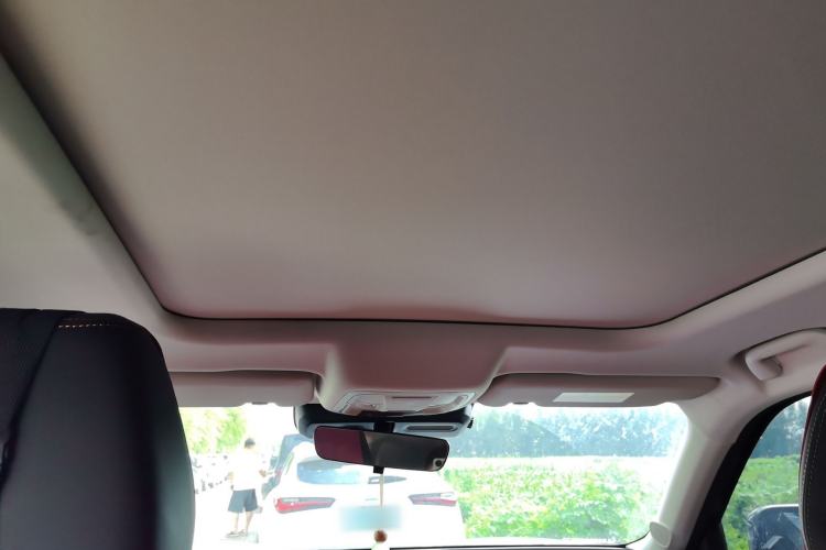 Used Haval DARGO 2021 1.5T DCT Two-Wheel Drive Labrador Edition Headliner