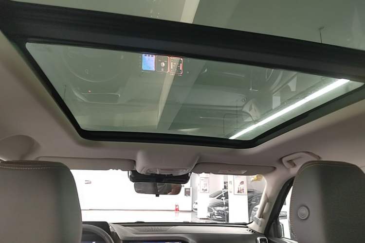 Used Haval DARGO 2021 1.5T DCT Two-Wheel Drive Border Collie Edition Headliner