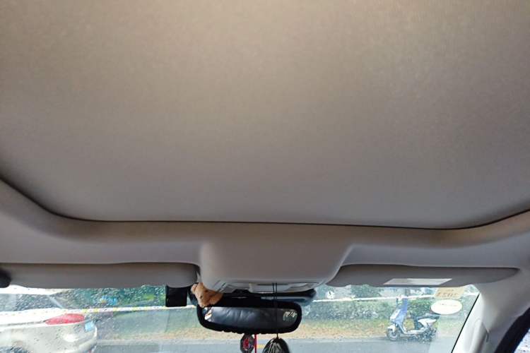 Used Haval DARGO 2021 1.5T DCT Two-Wheel Drive Border Collie Edition Headliner
