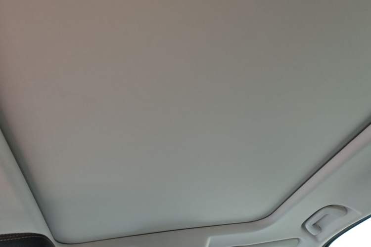 Used Haval DARGO 2021 1.5T DCT Two-Wheel Drive Border Collie Edition Headliner