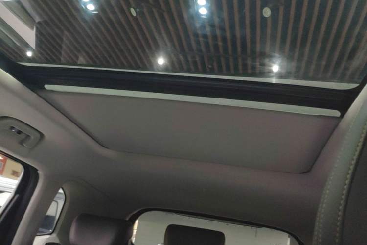 Used Haval DARGO 2021 1.5T DCT Two-Wheel Drive Border Collie Edition Headliner