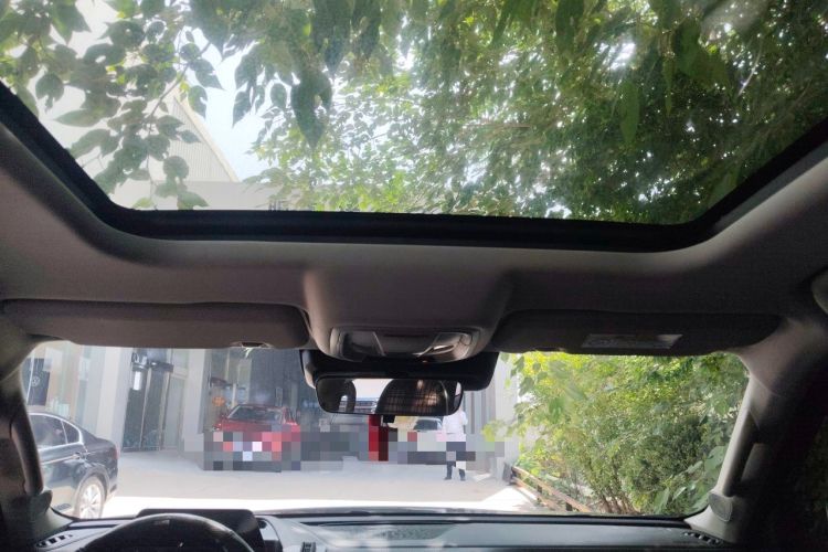 Used Haval DARGO 2021 1.5T DCT Two-Wheel Drive Border Collie Edition Headliner