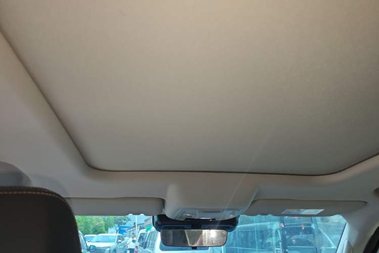 Used Haval DARGO 2021 1.5T DCT Two-Wheel Drive Border Collie Edition Headliner