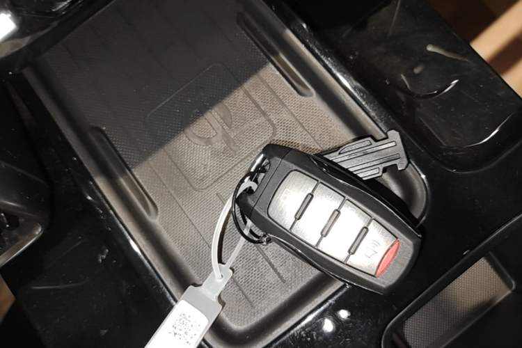 Used Haval DARGO 2021 1.5T DCT Two-Wheel Drive Border Collie - Wangcai Edition Interior 1