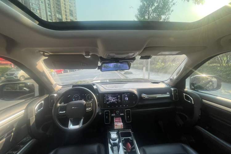 Used Haval DARGO 2021 2.0T DCT 4x4 Chinese Rural Dog Edition Interior 2