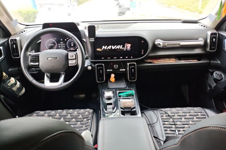 Used Haval DARGO 2021 2.0T DCT 4x4 Chinese Rural Dog Edition Interior 2