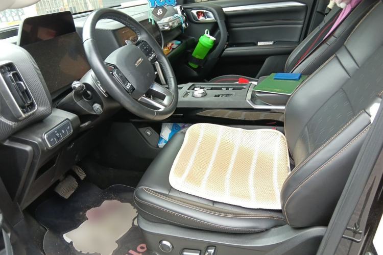 Used Haval DARGO 2021 2.0T DCT 4x4 Chinese Rural Dog Edition Left Front Seat