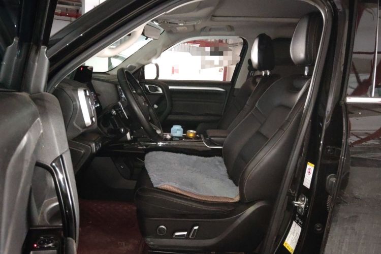 Used Haval DARGO 2021 2.0T DCT 4x4 Chinese Rural Dog Edition Left Front Seat