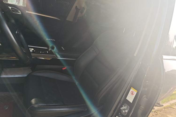 Used Haval DARGO 2021 1.5T DCT Two-Wheel Drive "Mǎquǎn" Edition Left Front Seat