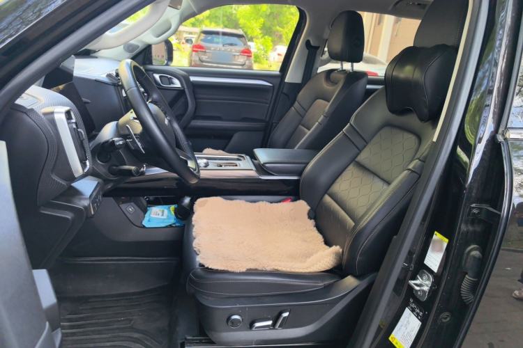 Used Haval DARGO 2021 1.5T DCT Two-Wheel Drive Border Collie Edition Left Front Seat