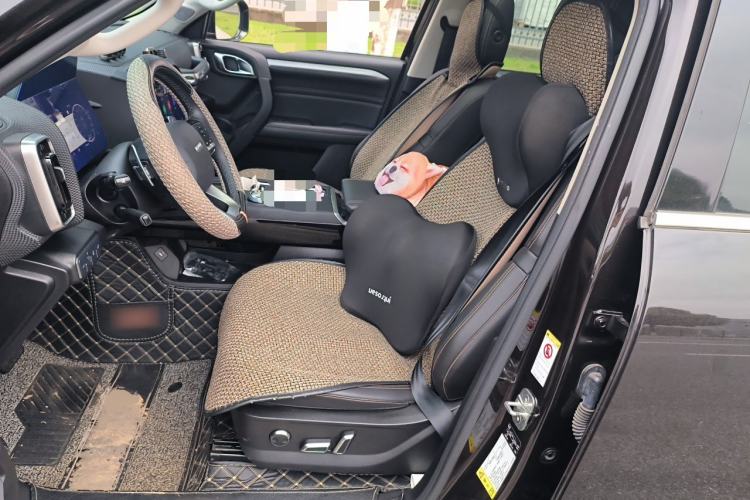 Used Haval DARGO 2021 1.5T DCT Two-Wheel Drive Border Collie Edition Left Front Seat