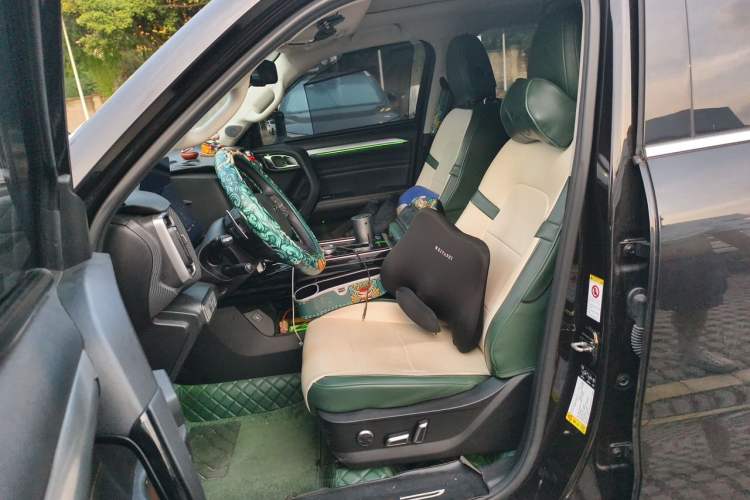 Used Haval DARGO 2021 1.5T DCT Two-Wheel Drive "Mǎquǎn" Edition Left Front Seat
