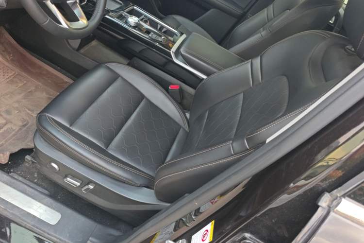Used Haval DARGO 2021 1.5T DCT Two-Wheel Drive Border Collie Edition Left Front Seat