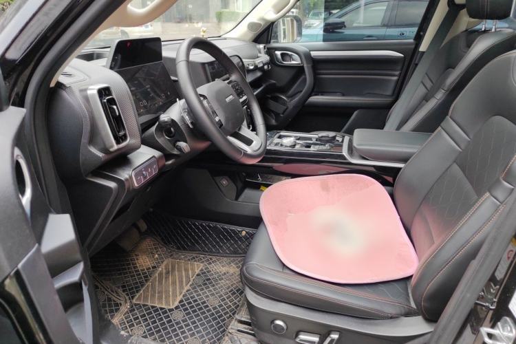 Used Haval DARGO 2021 1.5T DCT Two-Wheel Drive Border Collie Edition Left Front Seat