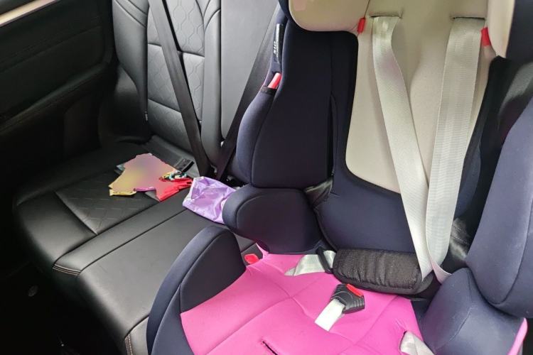 Used Haval DARGO 2021 1.5T DCT Two-Wheel Drive "Mǎquǎn" Edition Left Rear Seat