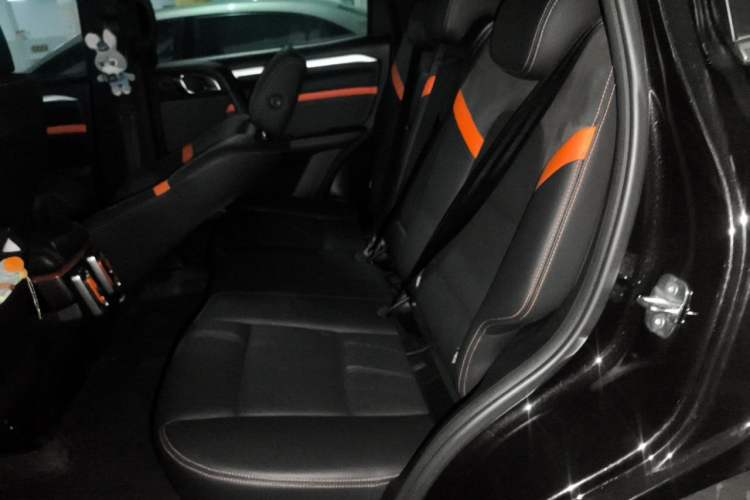 Used Haval DARGO 2021 Revised Version 2.0T DCT Four-Wheel Drive "Hao Tian Que" Edition Left Rear Seat