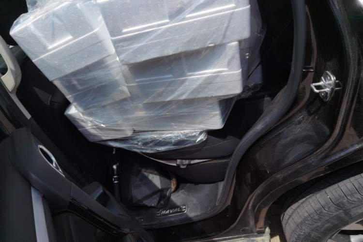 Used Haval DARGO 2021 2.0T DCT Two-Wheel Drive Chinese Mastiff Edition Left Rear Seat