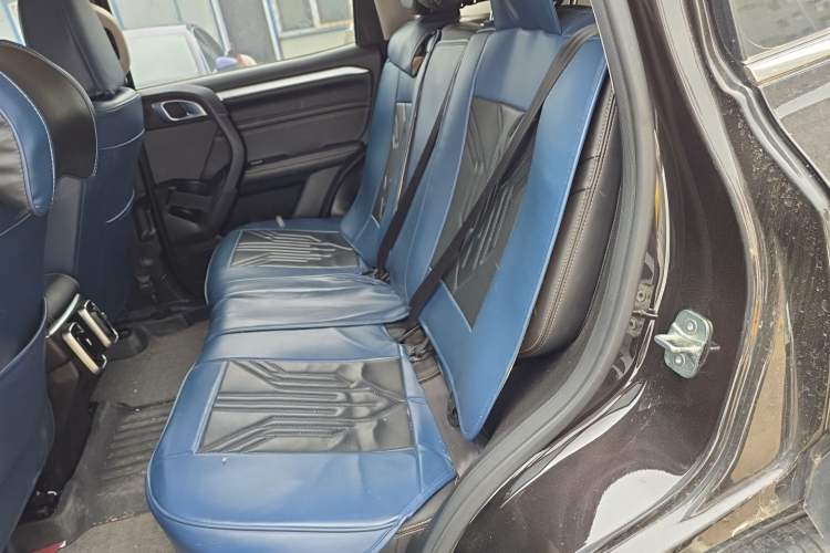 Used Haval DARGO 2021 1.5T DCT Two-Wheel Drive Border Collie Edition Left Rear Seat