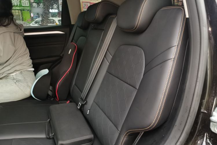 Used Haval DARGO 2021 1.5T DCT Two-Wheel Drive Border Collie Edition Left Rear Seat