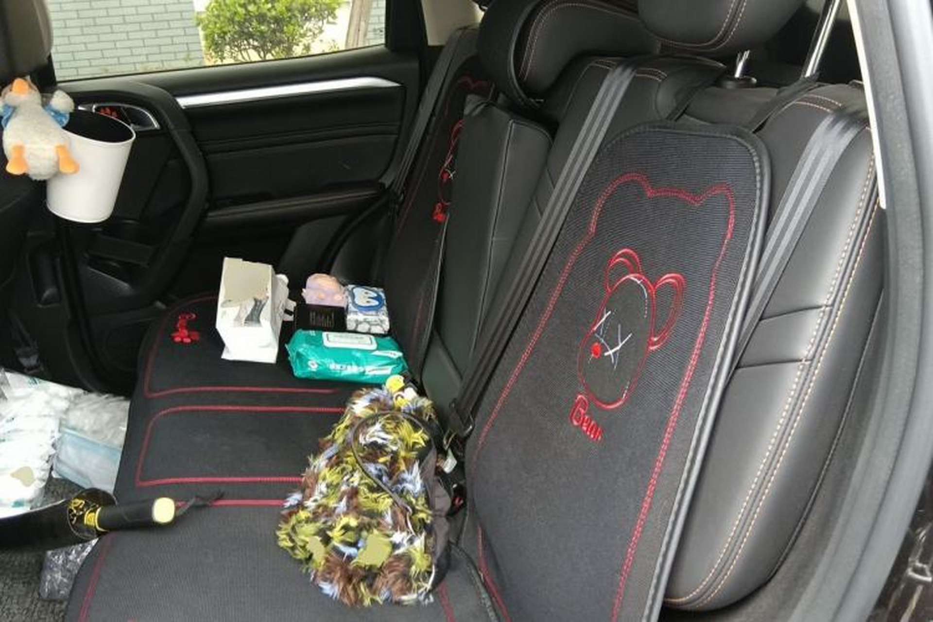 Used Haval DARGO 2021 2.0T DCT 4x4 Chinese Rural Dog Edition Left Rear Seat