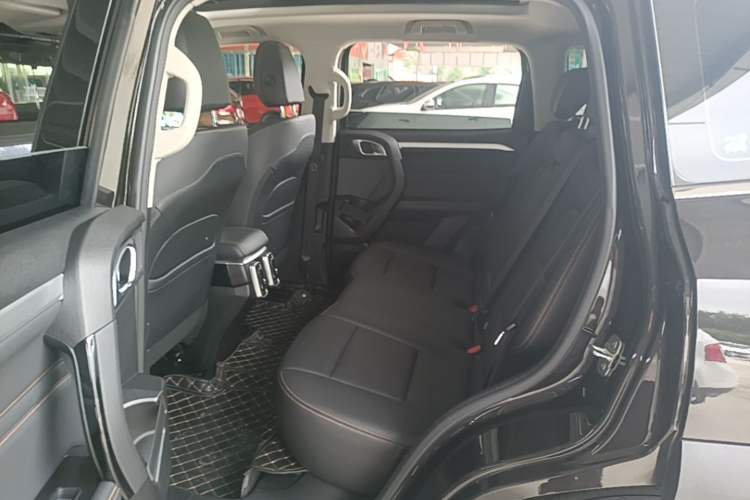 Used Haval DARGO 2021 1.5T DCT Two-Wheel Drive Border Collie Edition Left Rear Seat