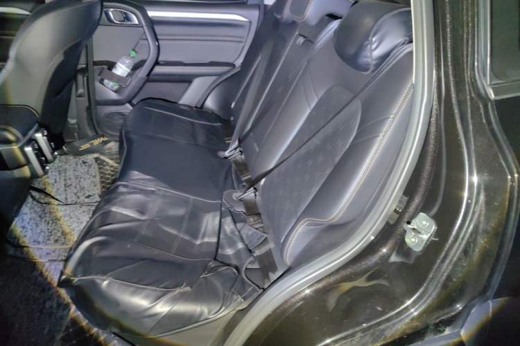 Used Haval DARGO 2021 2.0T DCT 4x4 Chinese Rural Dog Edition Left Rear Seat