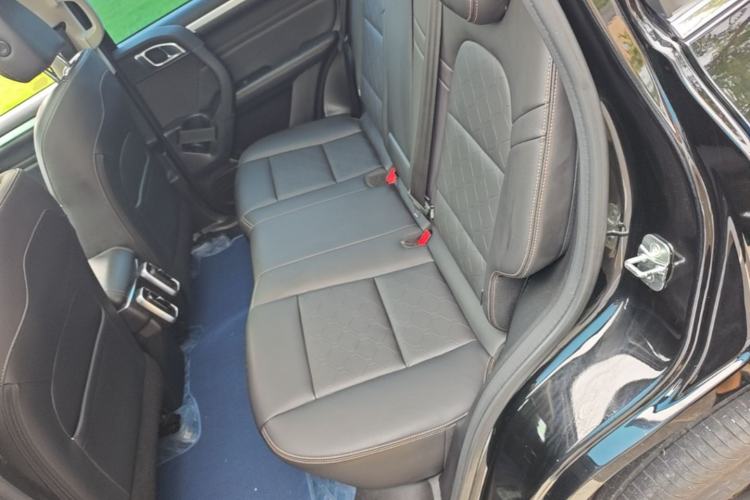 Used Haval DARGO 2021 2.0T DCT Two-Wheel Drive Chinese Mastiff Edition Left Rear Seat