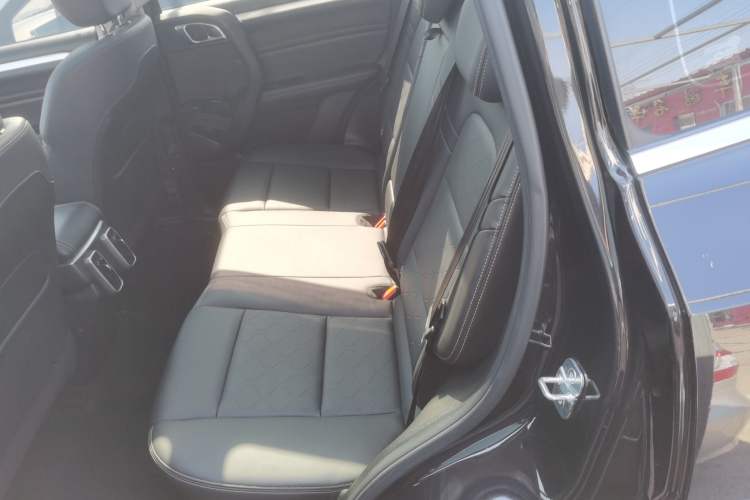 Used Haval DARGO 2021 1.5T DCT Two-Wheel Drive Border Collie Edition Left Rear Seat