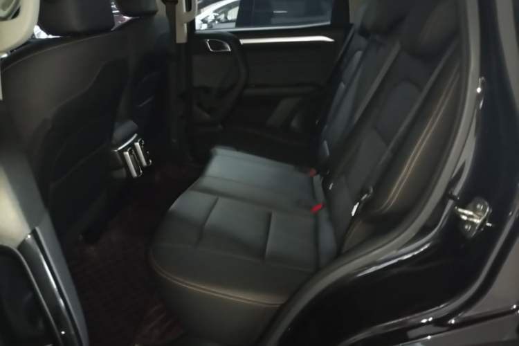 Used Haval DARGO 2021 2.0T DCT 4x4 Chinese Rural Dog Edition Left Rear Seat