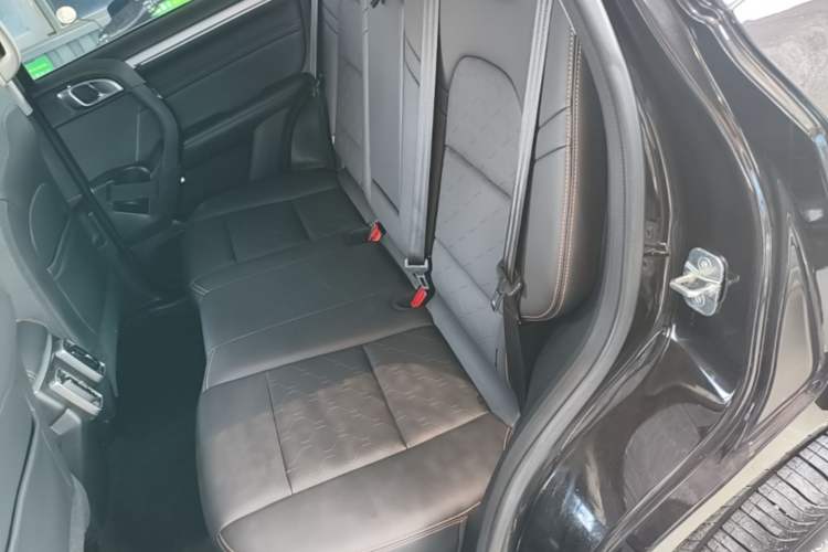 Used Haval DARGO 2021 1.5T DCT Two-Wheel Drive Border Collie Edition Left Rear Seat