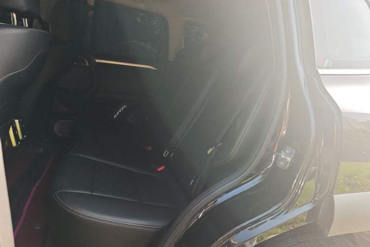 Used Haval DARGO 2021 1.5T DCT Two-Wheel Drive "Mǎquǎn" Edition Left Rear Seat