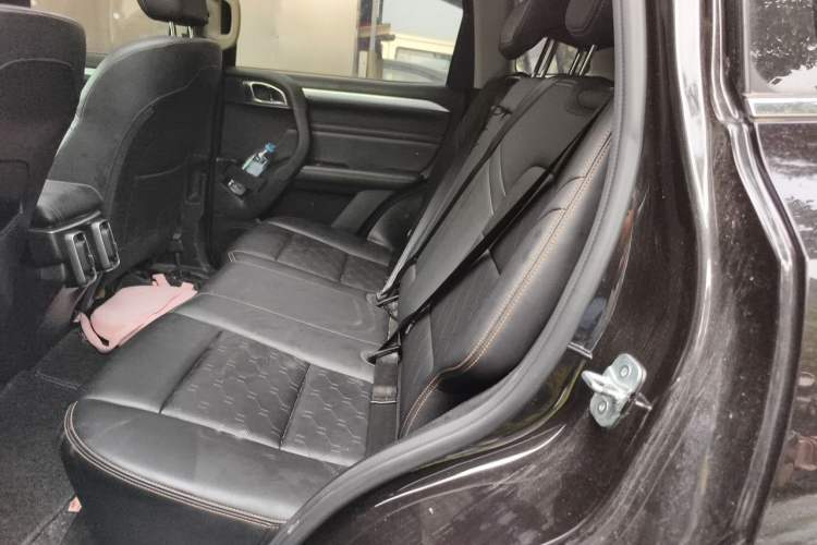 Used Haval DARGO 2021 1.5T DCT Two-Wheel Drive Border Collie - Wangcai Edition Left Rear Seat