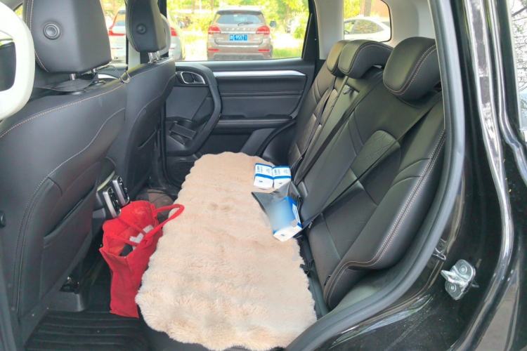 Used Haval DARGO 2021 1.5T DCT Two-Wheel Drive Border Collie Edition Left Rear Seat