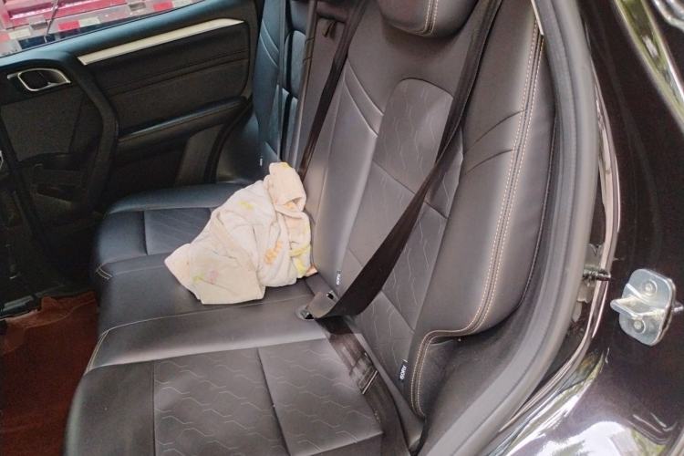Used Haval DARGO 2021 2.0T DCT 4x4 Chinese Rural Dog Edition Left Rear Seat