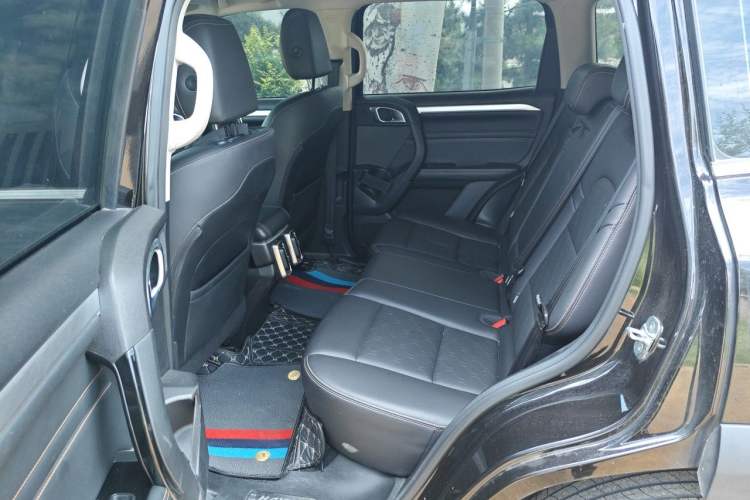 Used Haval DARGO 2021 1.5T DCT Two-Wheel Drive Border Collie Edition Left Rear Seat