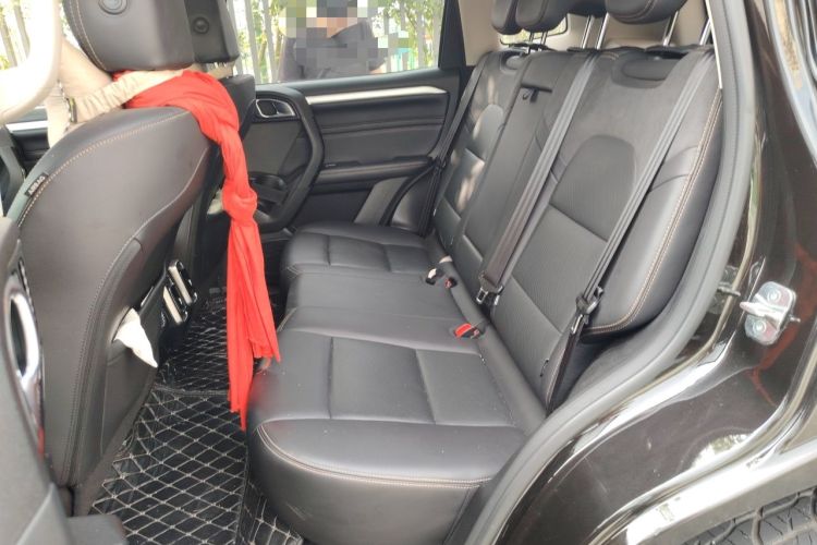Used Haval DARGO 2021 Revised Version 2.0T DCT Four-Wheel Drive "Hao Tian Que" Edition Left Rear Seat