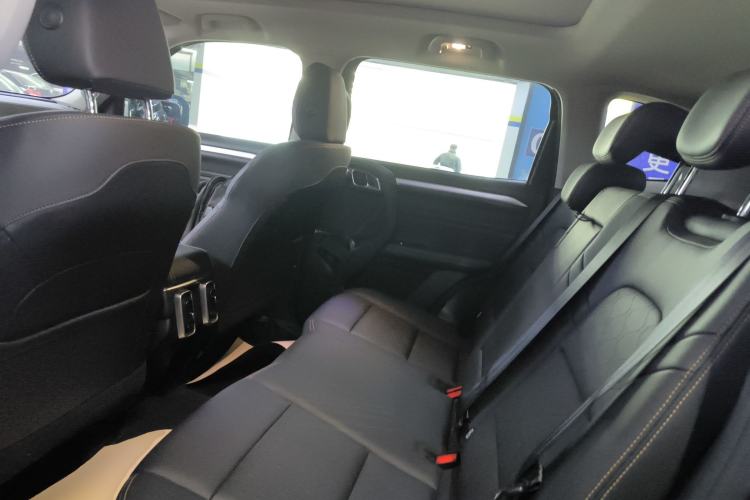 Used Haval DARGO 2021 1.5T DCT Two-Wheel Drive Border Collie Edition Left Rear Seat
