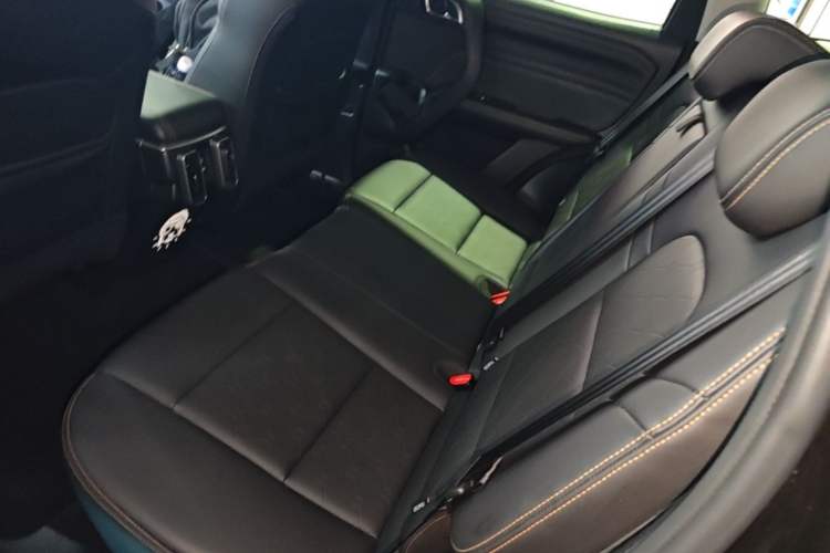 Used Haval DARGO 2021 1.5T DCT Two-Wheel Drive Labrador Edition Left Rear Seat