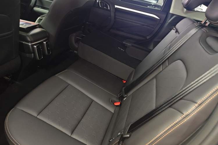 Used Haval DARGO 2021 2.0T DCT 4x4 Chinese Rural Dog Edition Left Rear Seat
