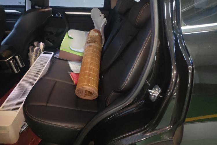 Used Haval DARGO 2021 2.0T DCT 4x4 Chinese Rural Dog Edition Left Rear Seat