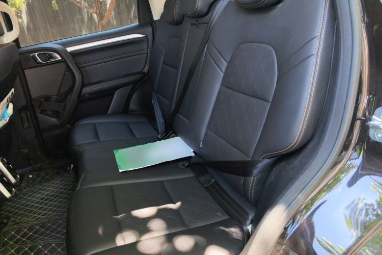 Used Haval DARGO 2021 2.0T DCT 4x4 Chinese Rural Dog Edition Left Rear Seat