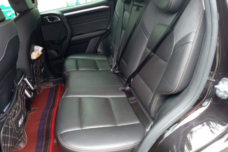 Used Haval DARGO 2021 2.0T DCT All-Wheel-Drive "Hao Tian Quan" Edition Left Rear Seat