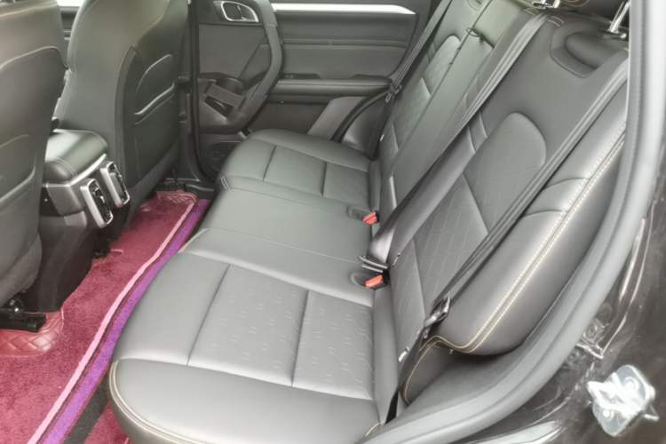 Used Haval DARGO 2021 1.5T DCT Two-Wheel Drive "Wangcai" Edition Left Rear Seat