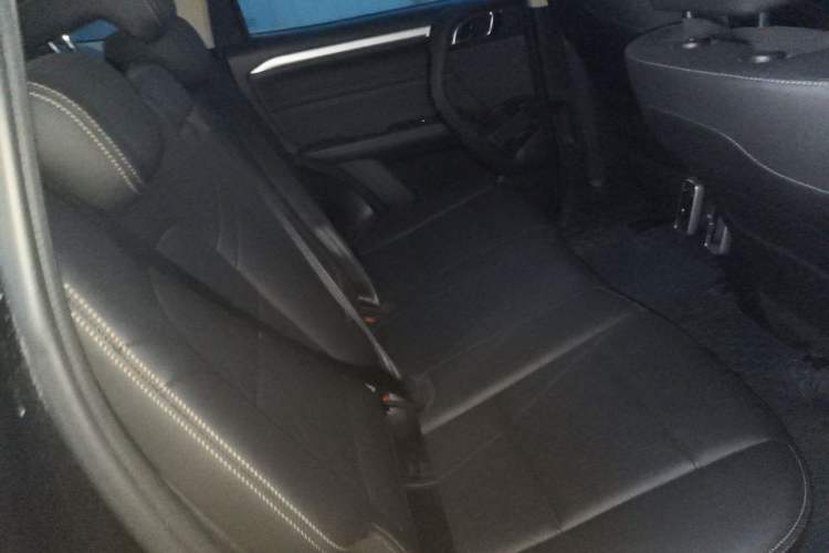 Used Haval DARGO 2021 1.5T DCT Two-Wheel Drive Border Collie Edition Left Rear Seat