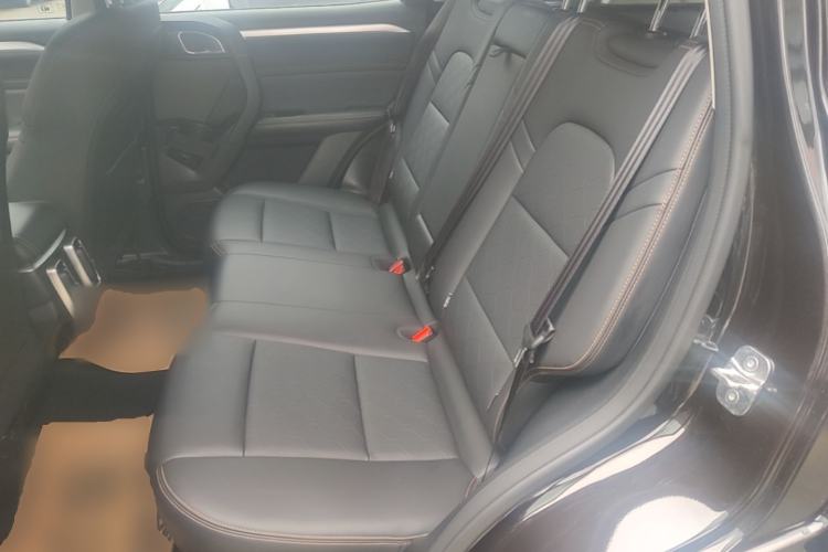 Used Haval DARGO 2021 1.5T DCT Two-Wheel Drive Border Collie Edition Left Rear Seat
