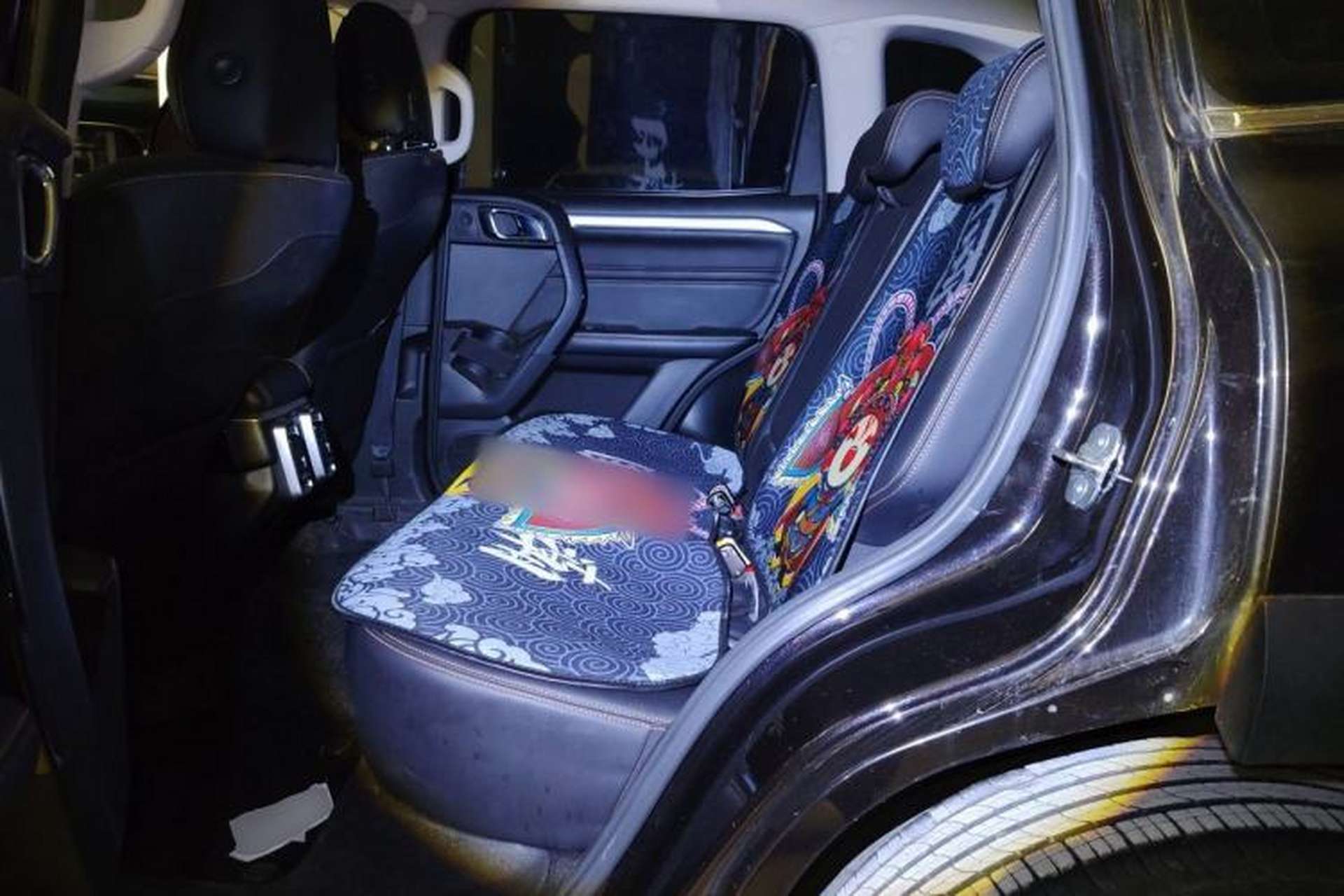 Used Haval DARGO 2021 1.5T DCT Two-Wheel Drive Border Collie Edition Left Rear Seat