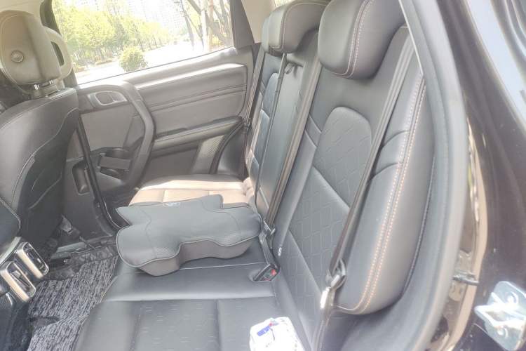 Used Haval DARGO 2021 1.5T DCT Two-Wheel Drive Border Collie Edition Left Rear Seat