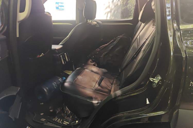 Used Haval DARGO 2021 2.0T DCT 4x4 Chinese Rural Dog Edition Left Rear Seat