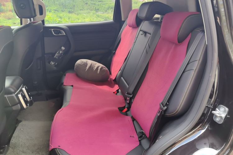 Used Haval DARGO 2021 1.5T DCT Two-Wheel Drive Labrador Edition Left Rear Seat
